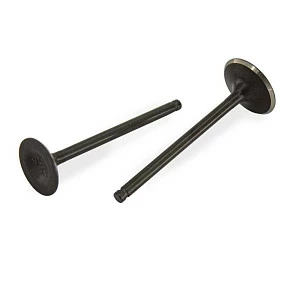 Клапаны ГРМ 172FMM-5 (PR250 сбалансиром)