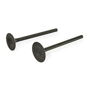 Клапаны ГРМ 172FMM-5 (PR250 сбалансиром)